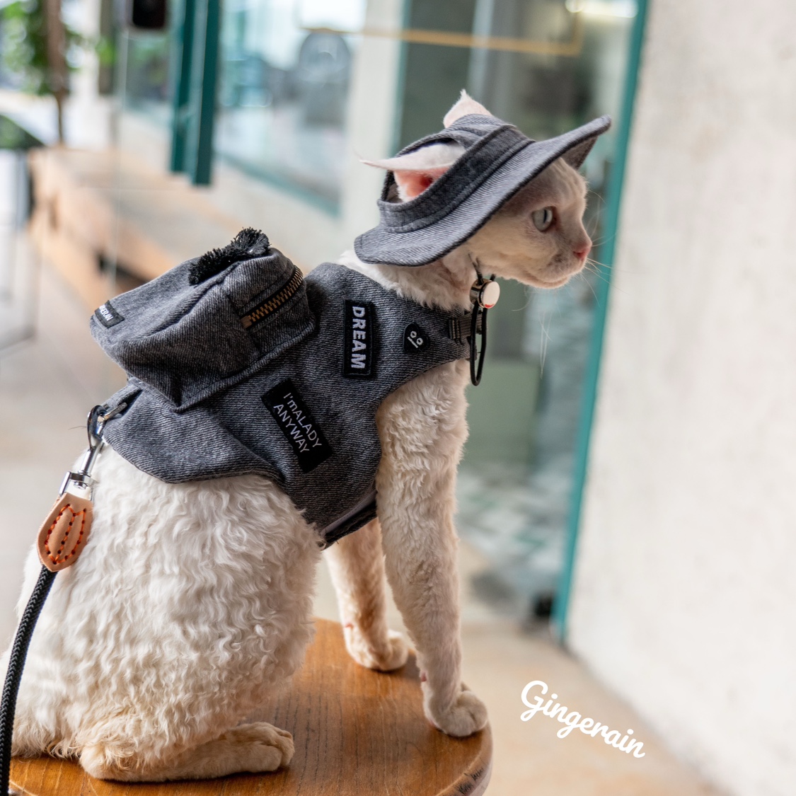 Handmade Luxury Travel Cat Car - огляд і ціна Luxury Bags Cute